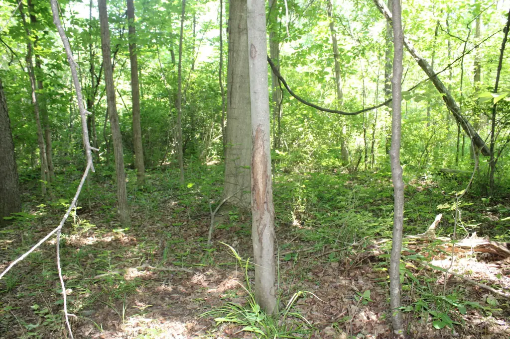 Picture 28