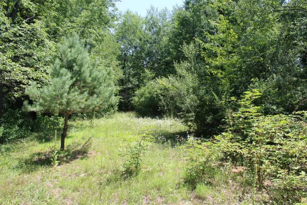 Picture 24