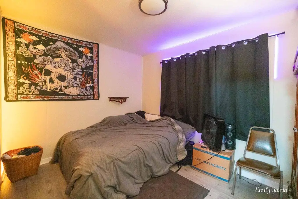 Picture 29