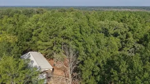 92.88 Acres Hunting Paradise