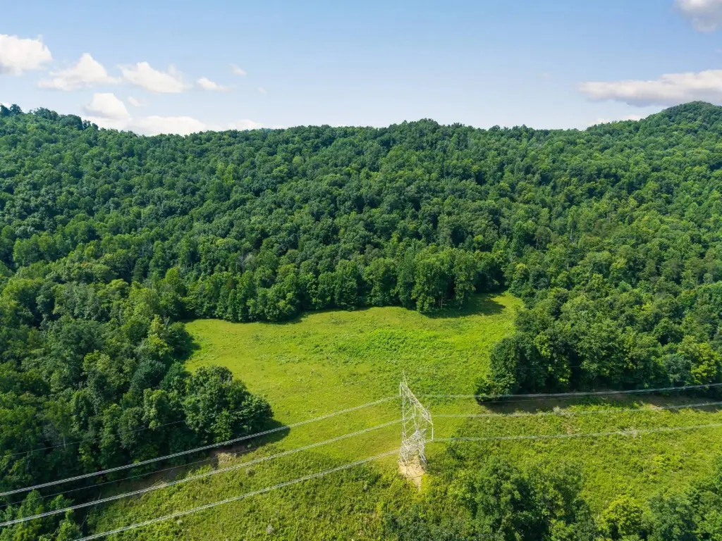 Picture 10