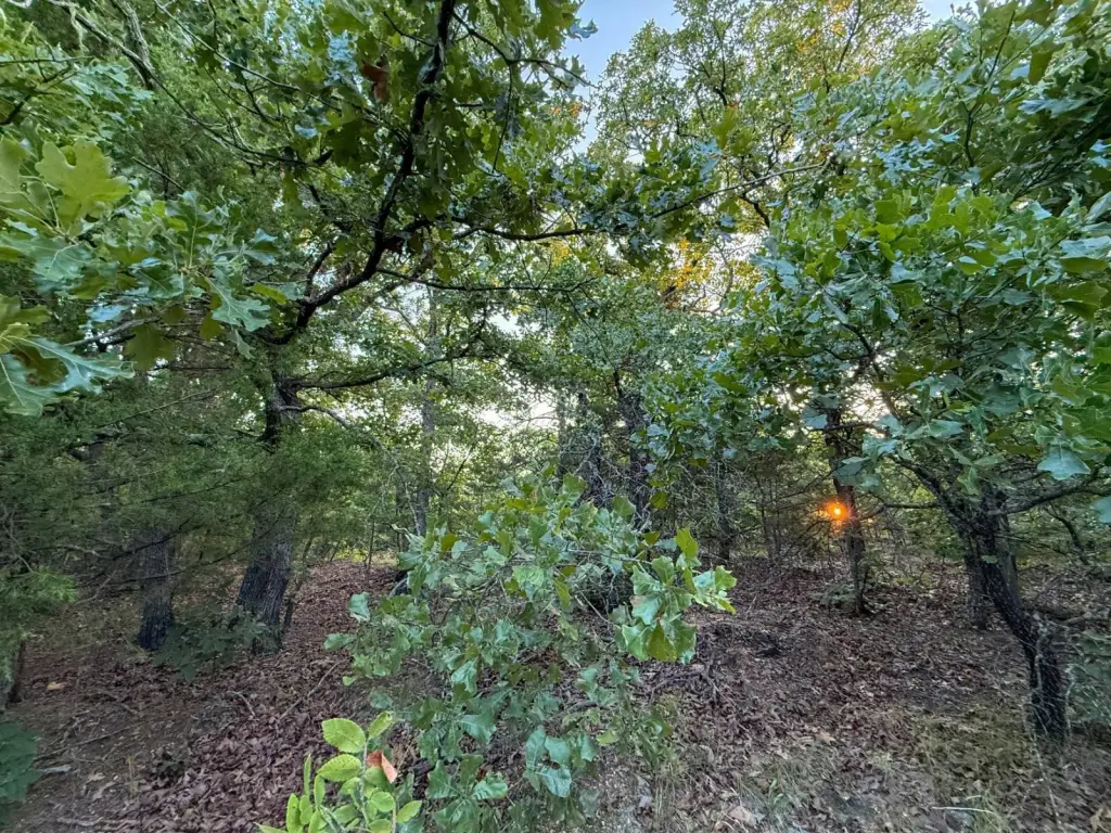 Picture 22