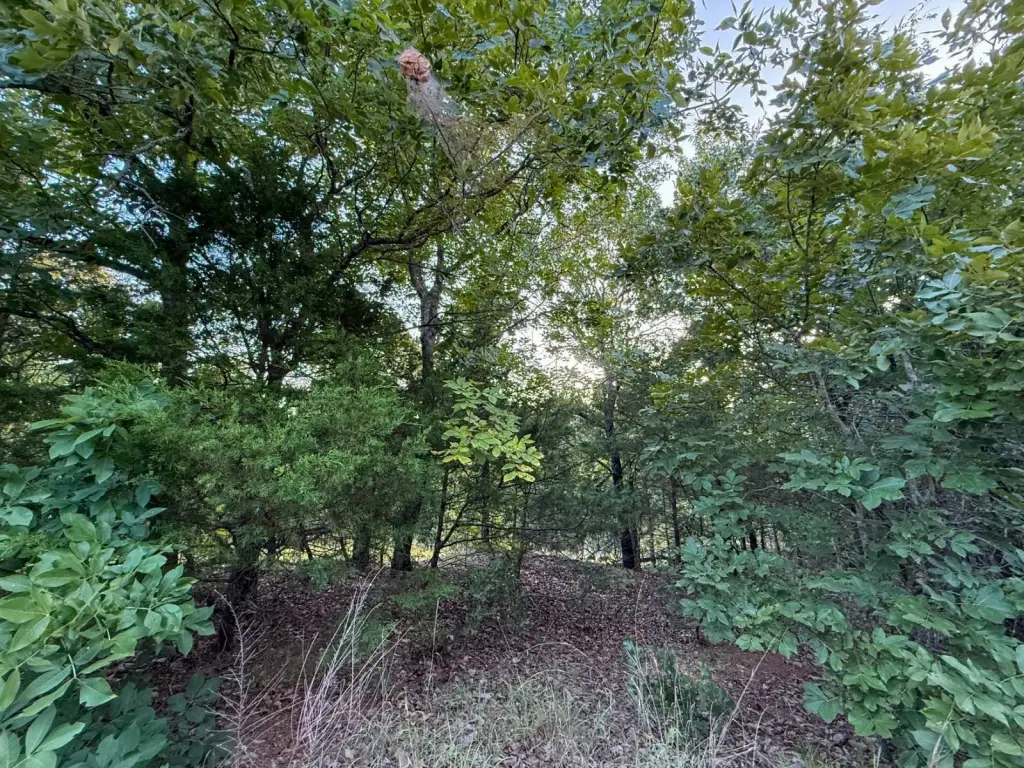 Picture 25