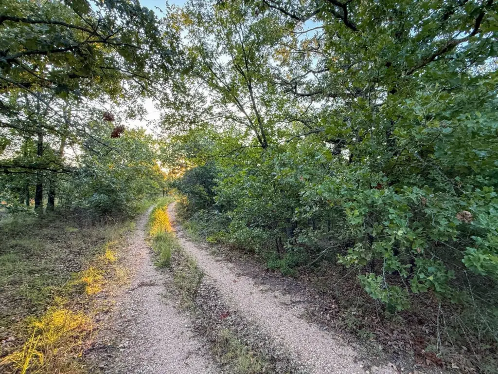 Picture 27