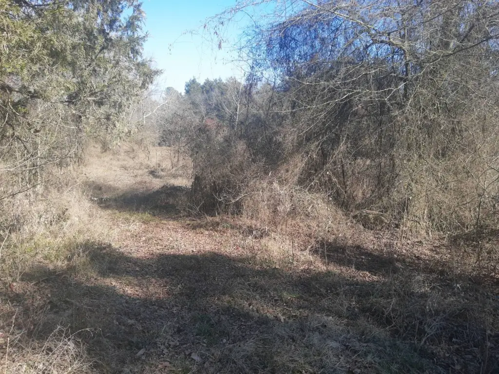 Picture 10
