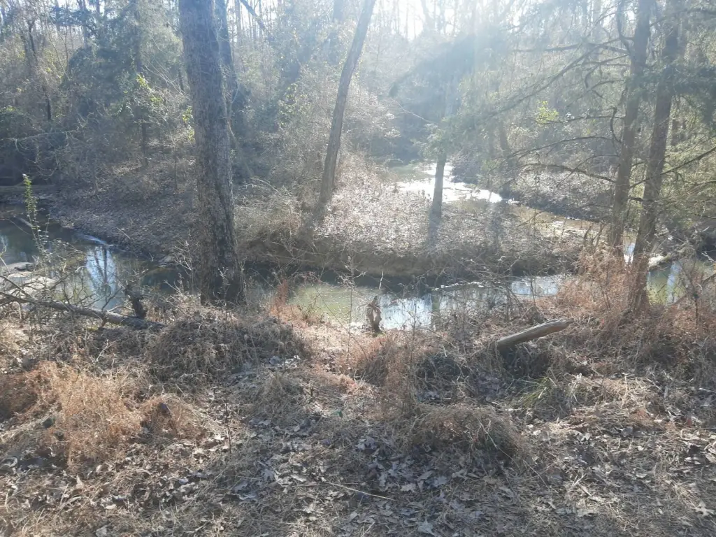 Picture 30