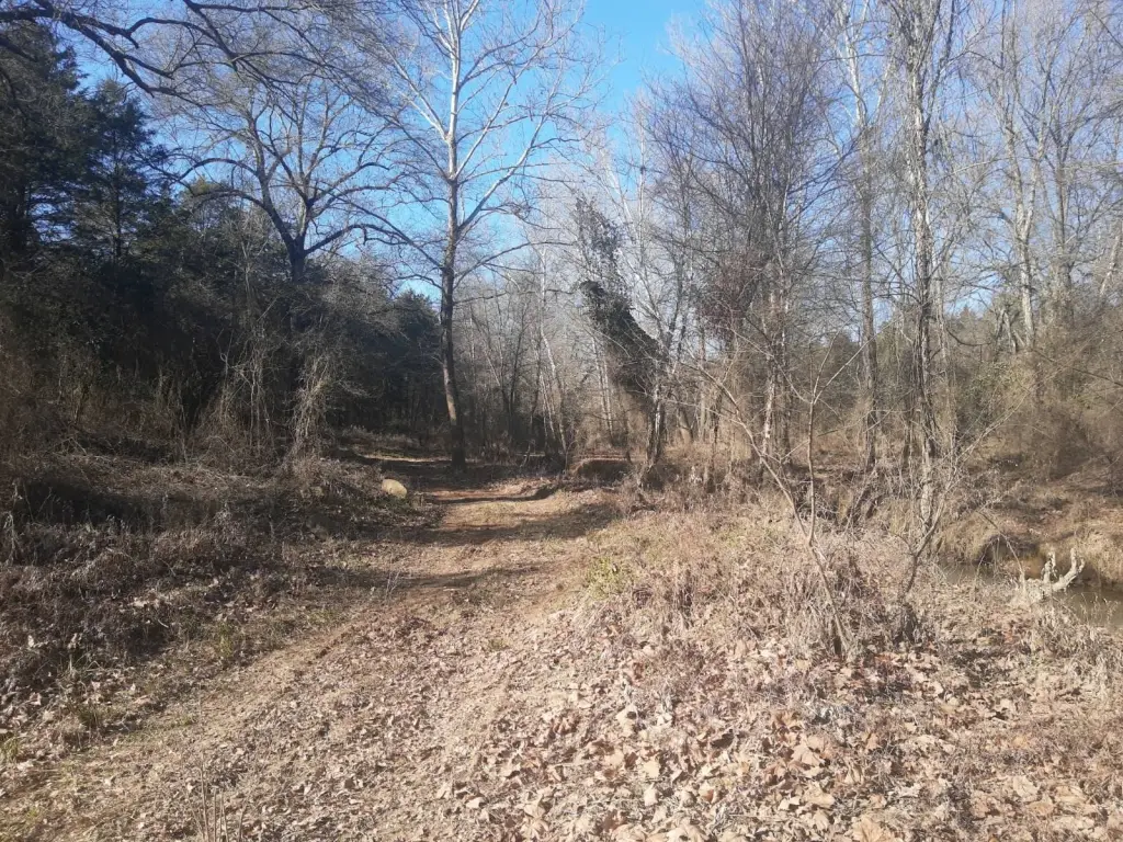 Picture 14