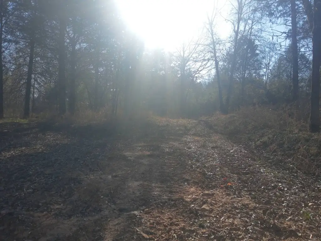 Picture 22