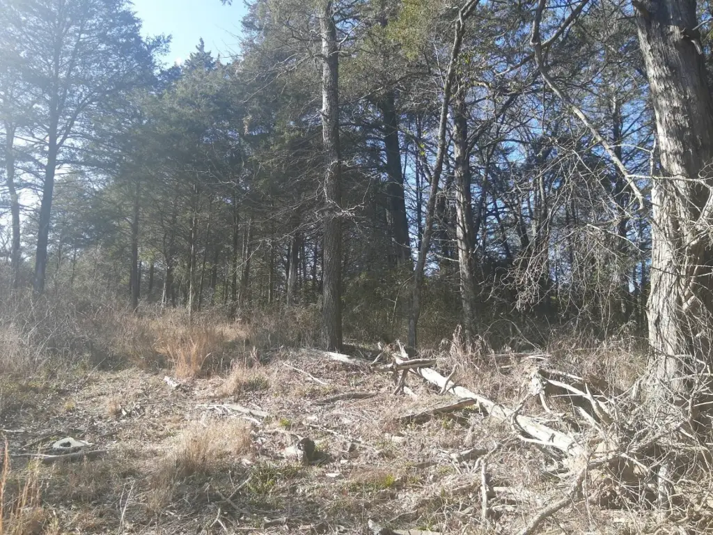 Picture 8