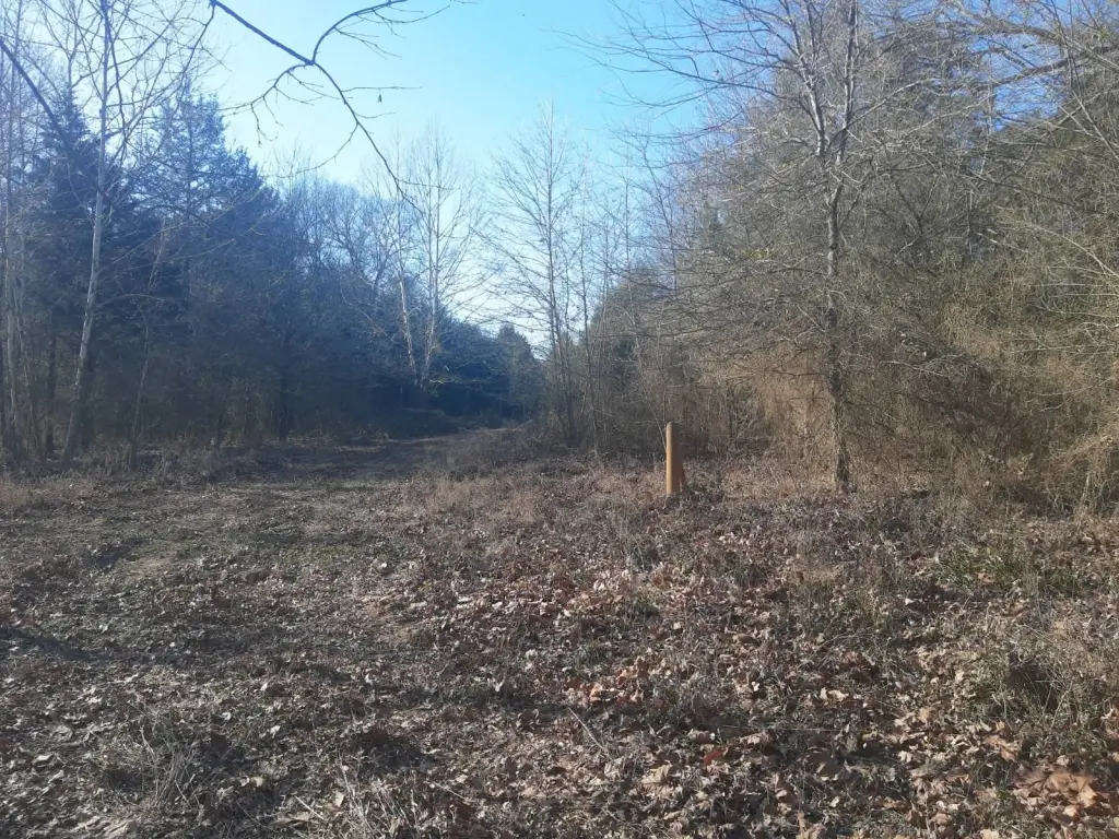 Picture 16