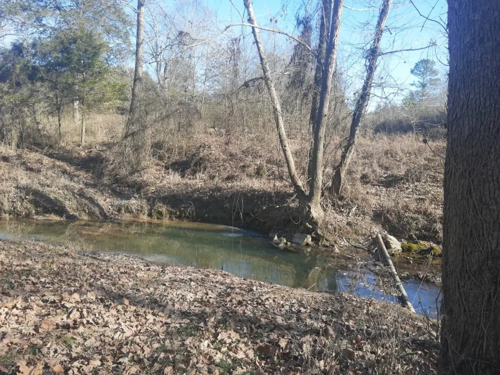 Picture 18