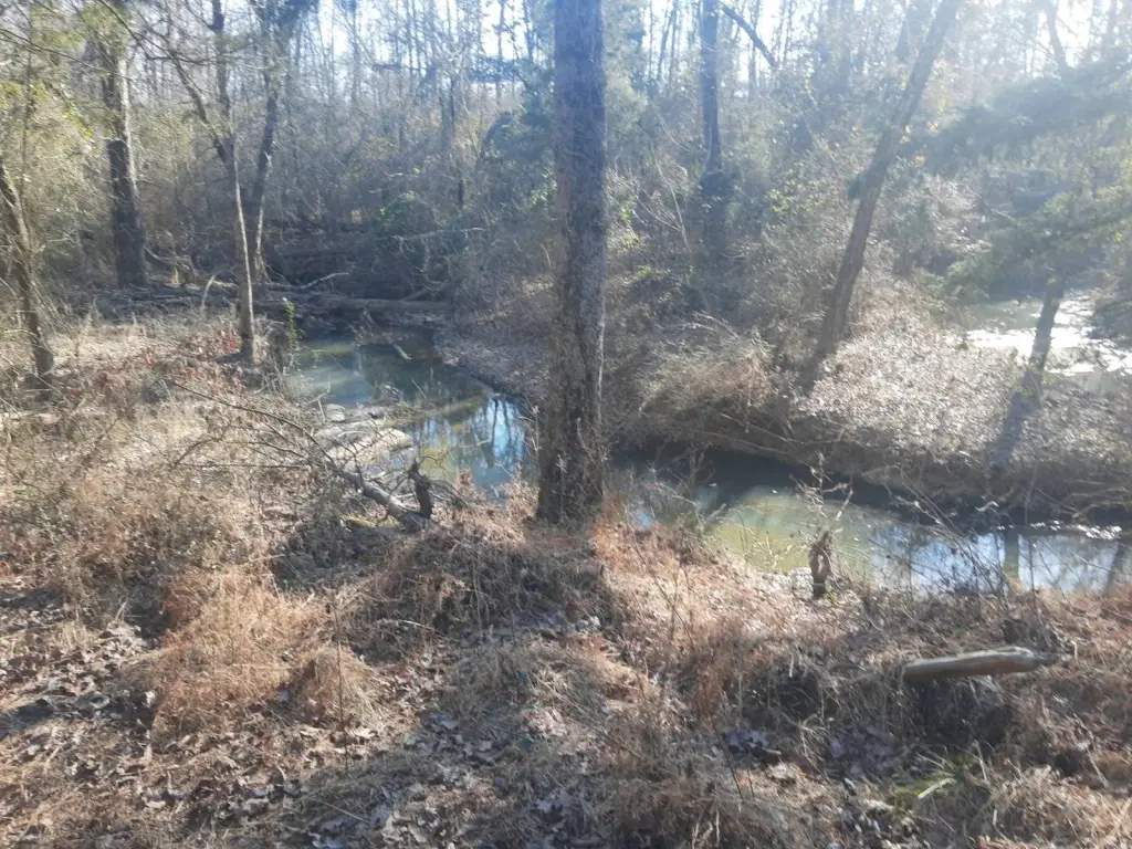 Picture 31