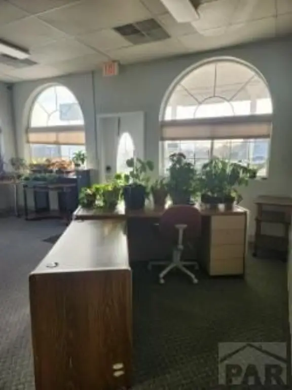 Picture 16