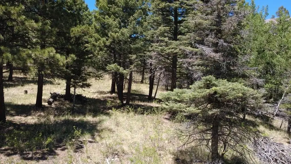 Picture 16