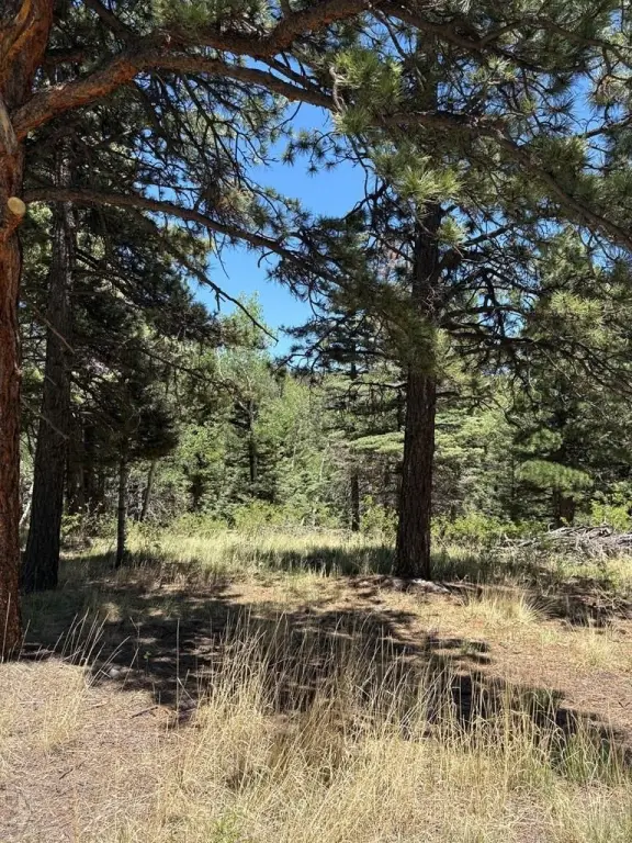 Picture 19
