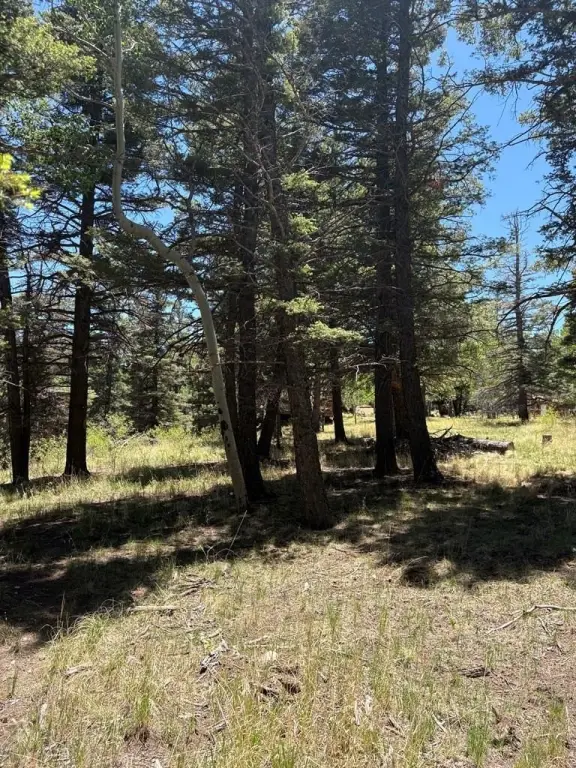 Picture 21