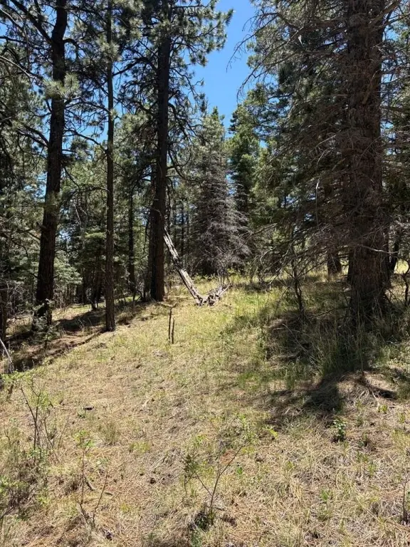 Picture 25