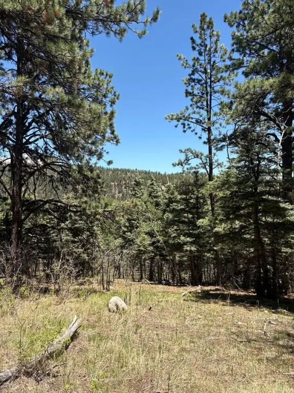 Picture 23