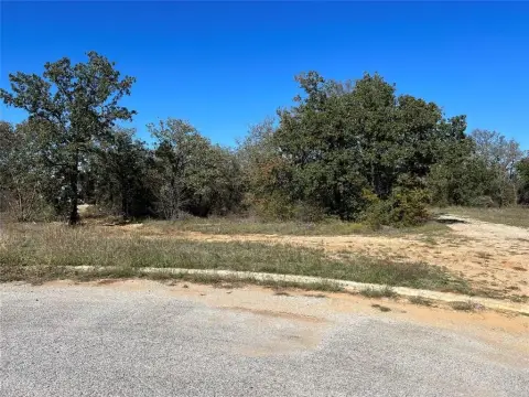 Residential Land in Mineral Wells