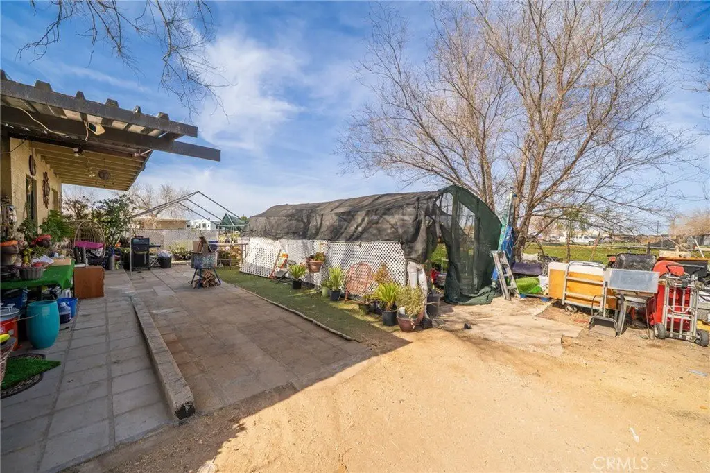 Picture 38