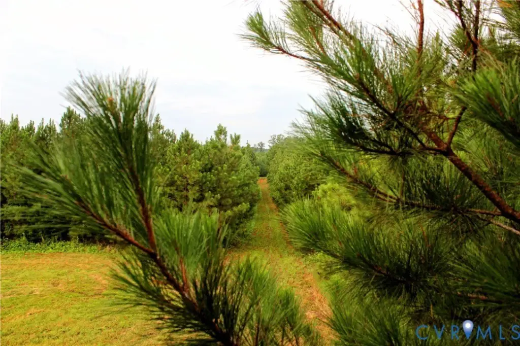 Picture 20