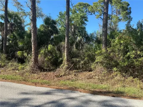 CG-Zoned Commercial Land
