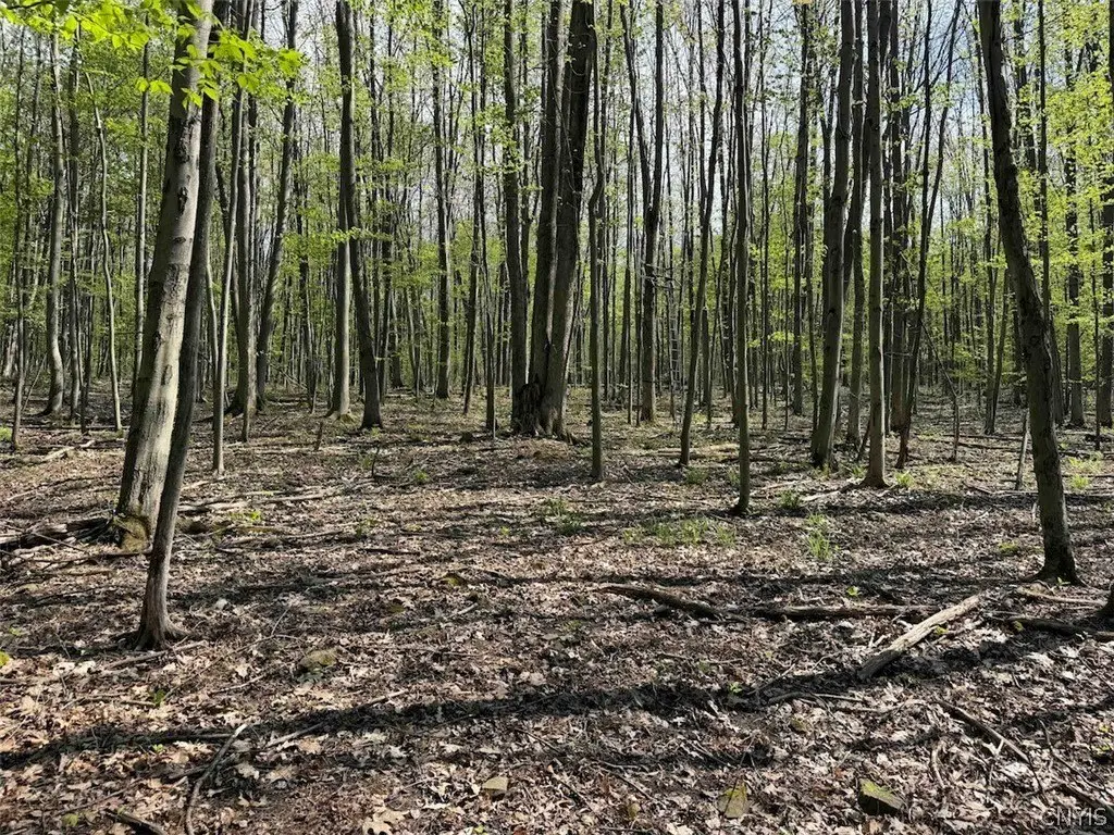 Picture 33