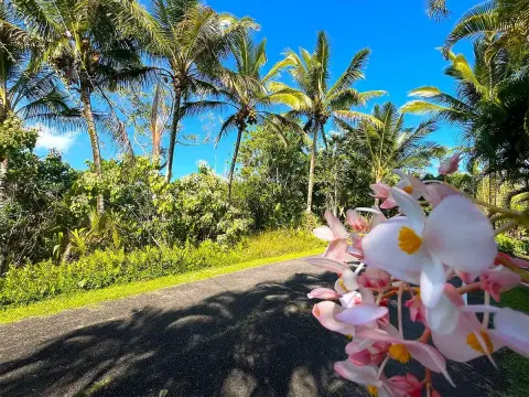Improved Lot in Kalapana Seaview