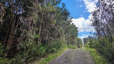 Expansive Hawaiian Acres Land Parcel