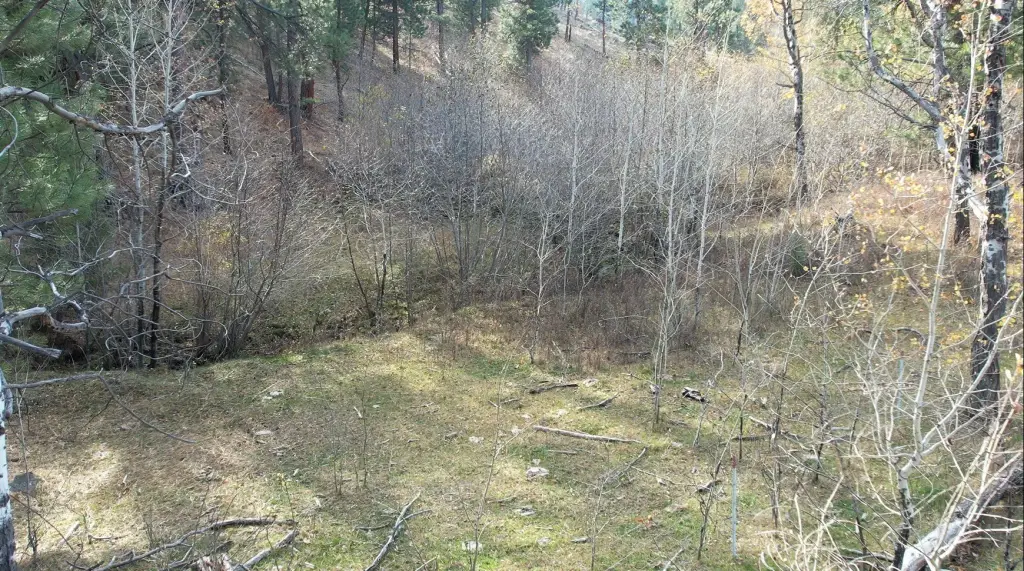 Picture 15