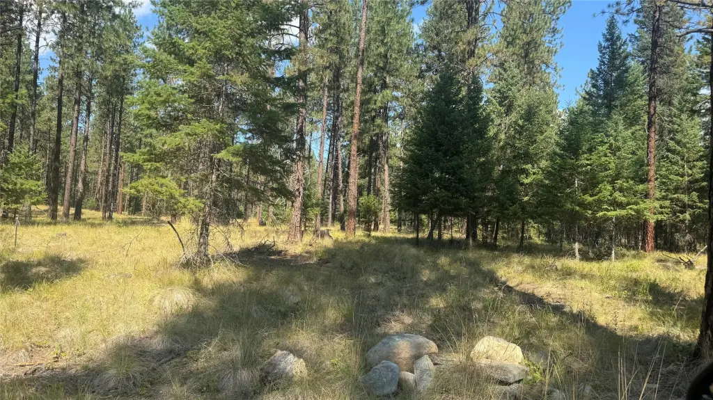 Picture 7