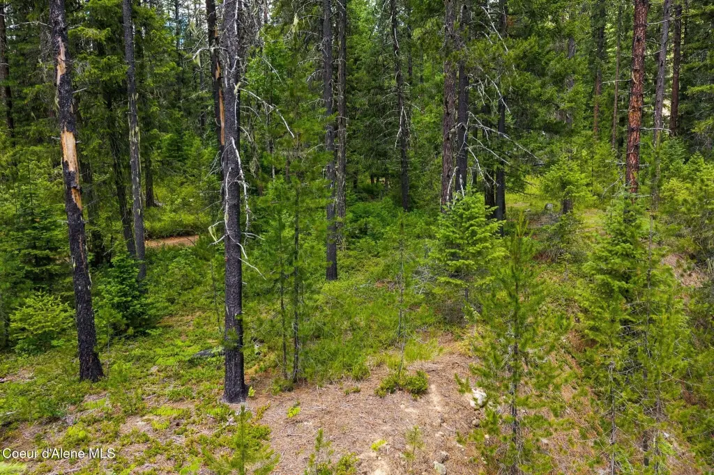 Picture 23