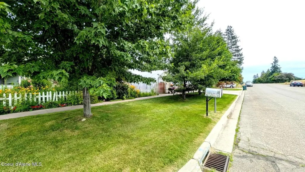 Picture 9