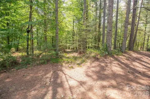 Wooded Waterfront Land Parcel