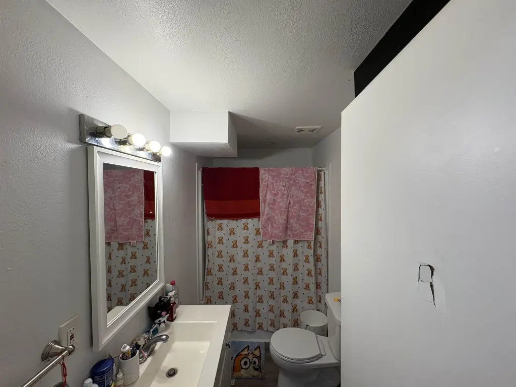 Picture 21