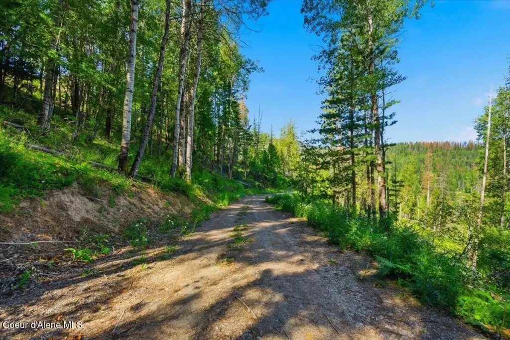 Picture 9