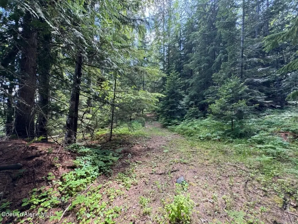Picture 30