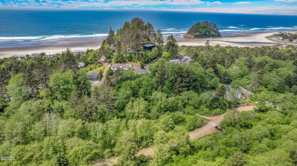 Picture 14