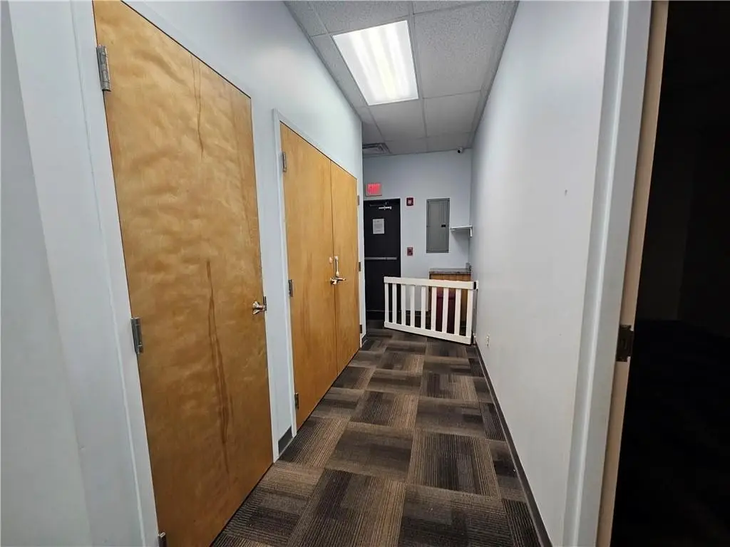 Picture 17