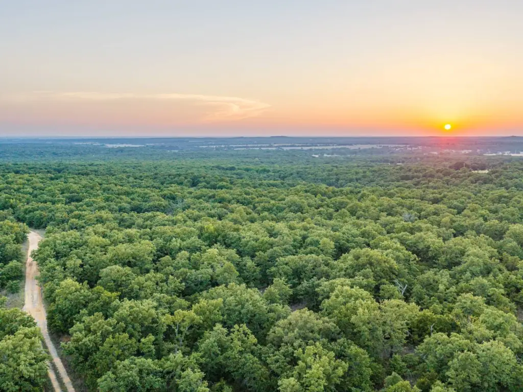 Picture 23