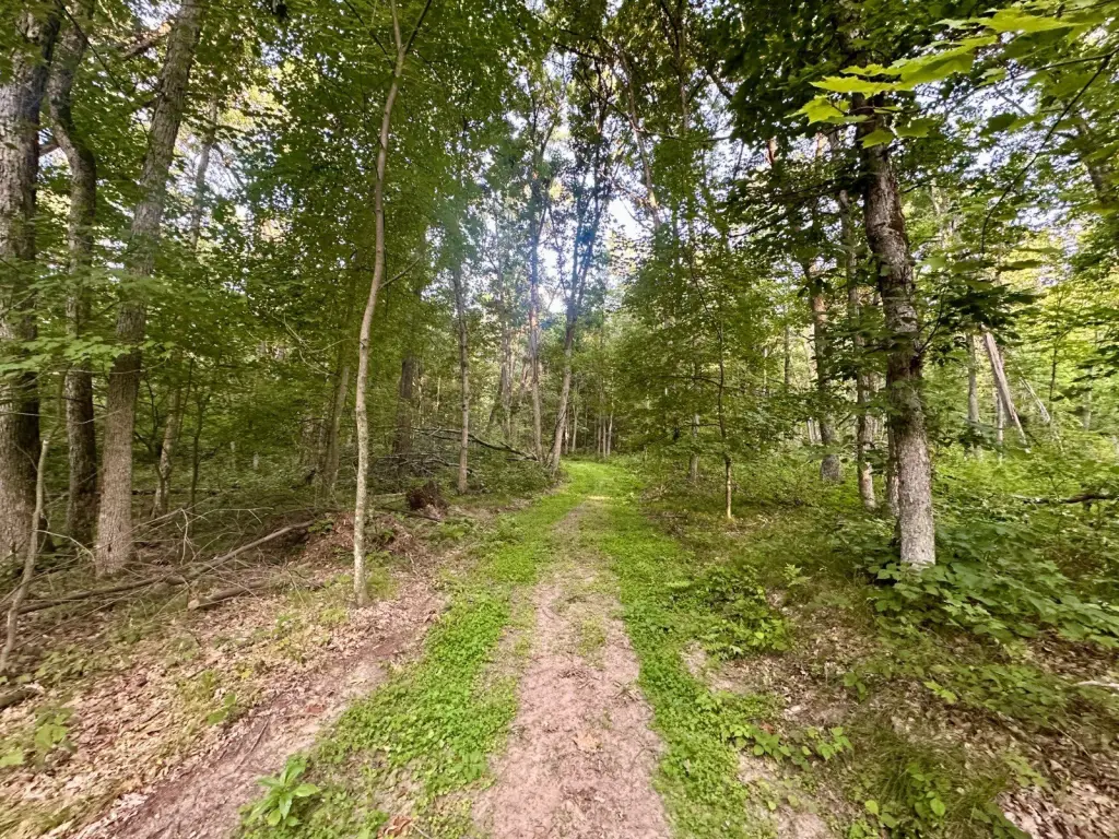Picture 23
