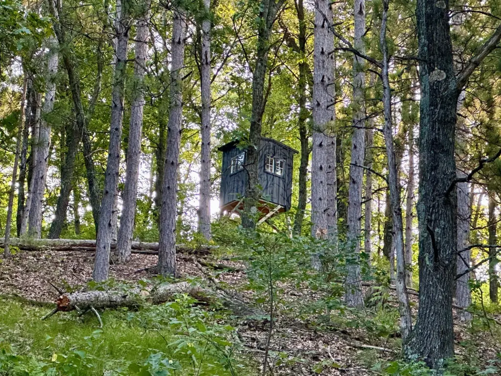 Picture 16