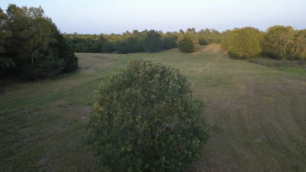 Picture 13