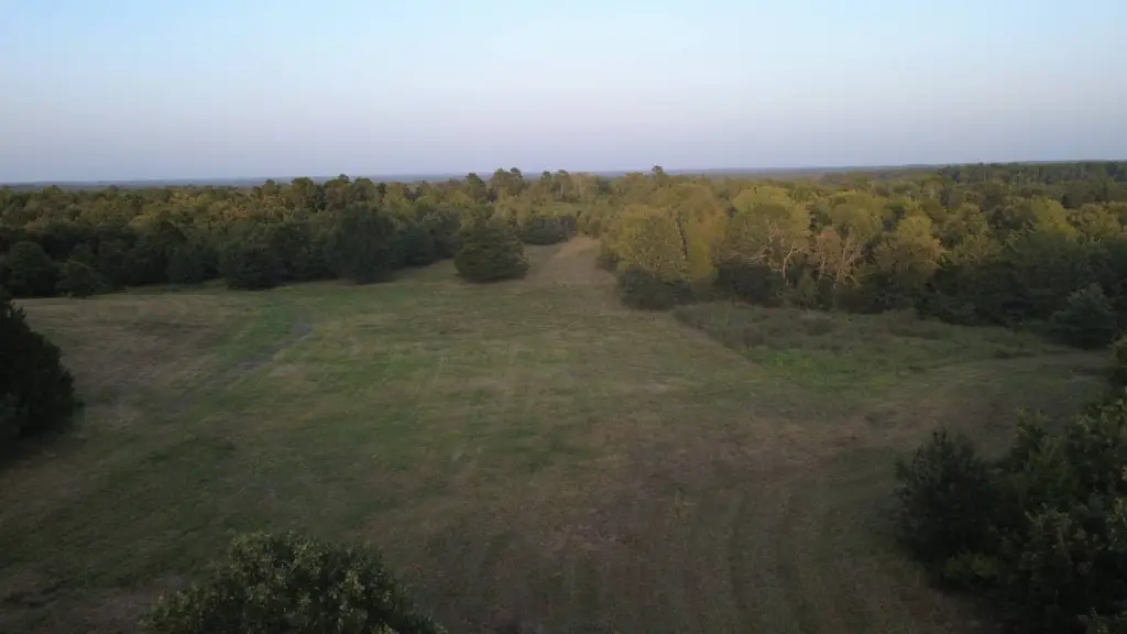 Picture 25