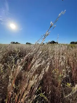 Wills Point Unimproved Land