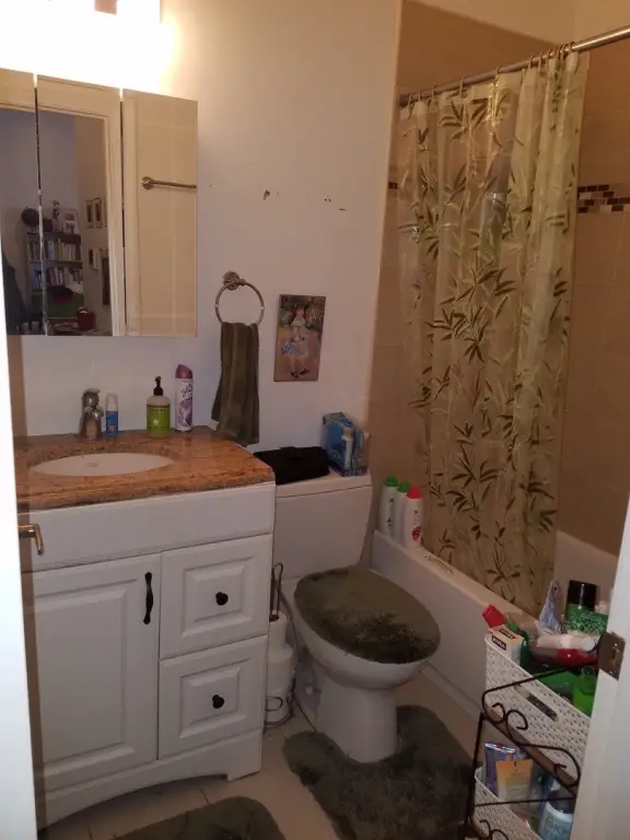 Picture 35
