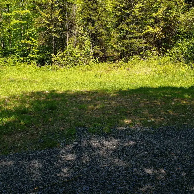 Picture 3