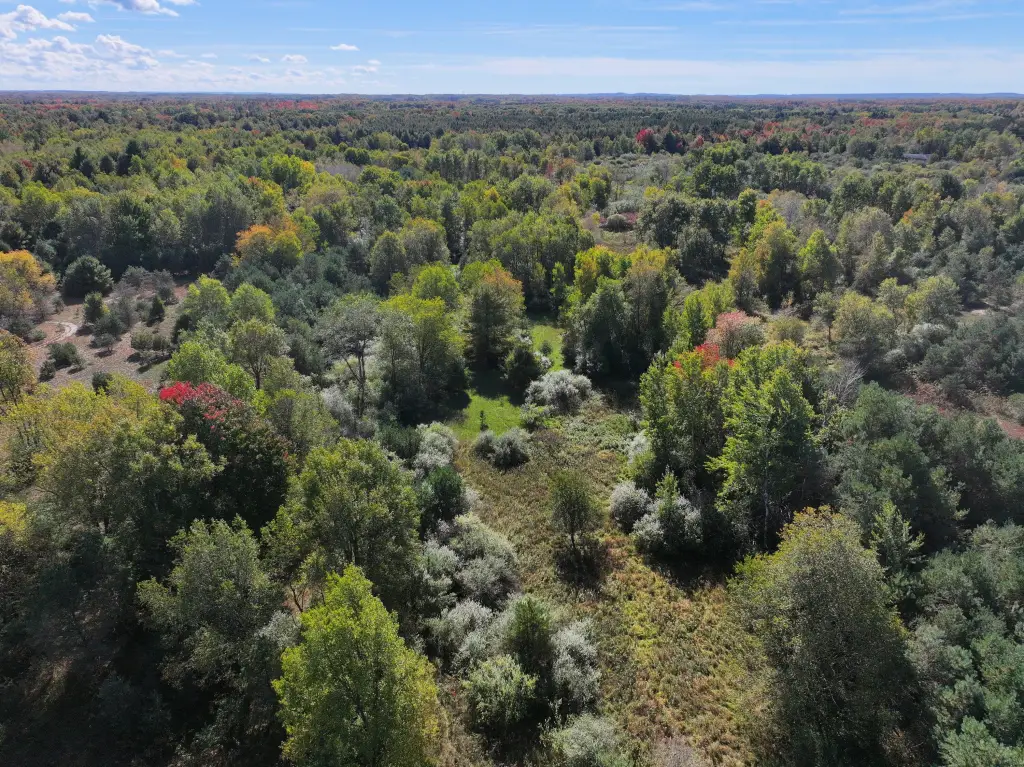 Picture 7