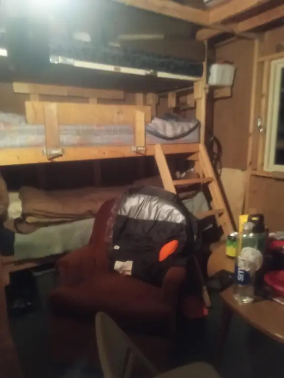 Picture 3
