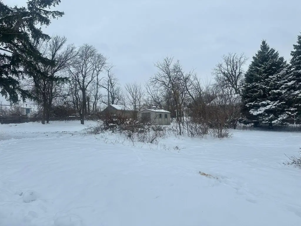 Picture 20